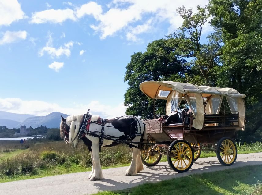 Killarney: Killarney National Park Private Tour - Meeting Point and Amenities