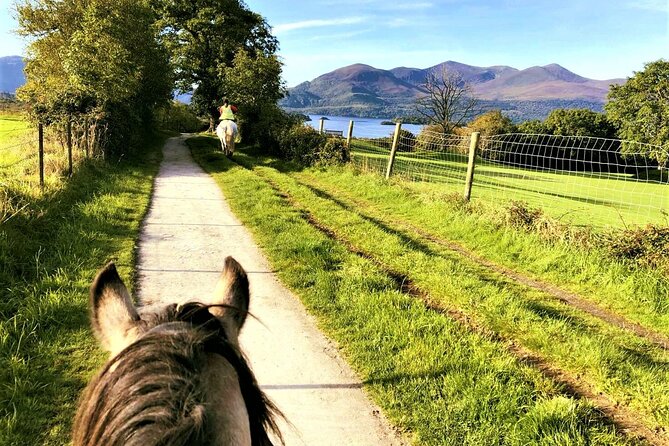 Killarney National Park Horseback Ride. Co Kerry. Guided. 3 Hours. - Equipment Provided