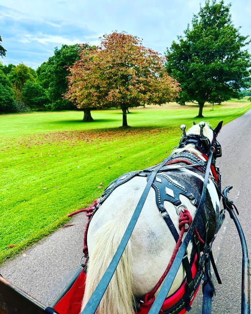 Killarney National Park Tour - Booking and Cancellation Policy