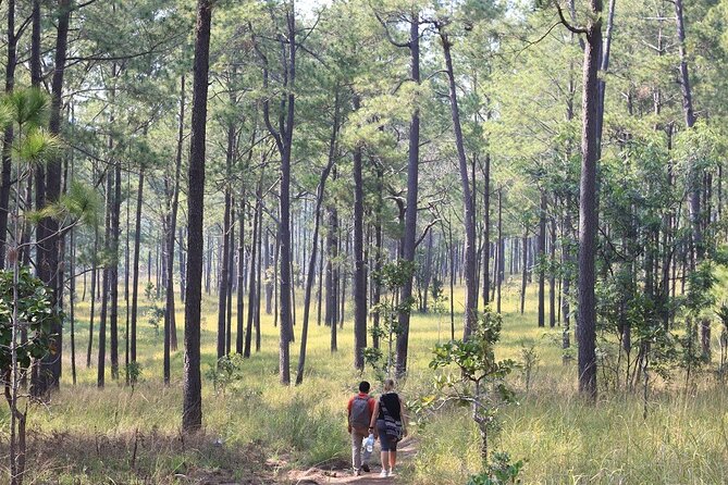 Kirirom National Park Private Day Tour From Phnom Penh - Tour Itinerary and Schedule