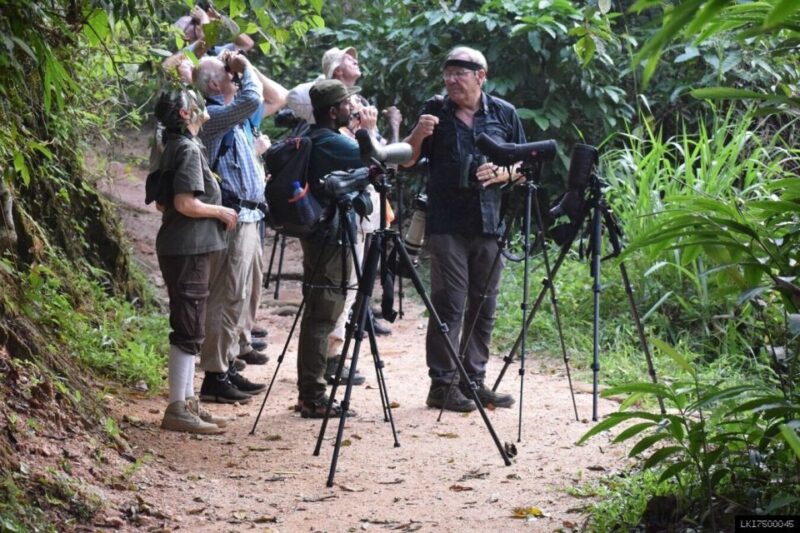 Kitulgala: Private Guided Bird Watching and Trekking Tour - Exploring Natural Environments