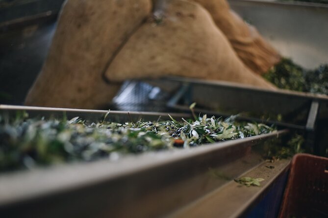 Kleanthi Olive Farm: Guided Tour With Local Delicacies Tasting - Purchasing Opportunities On-site