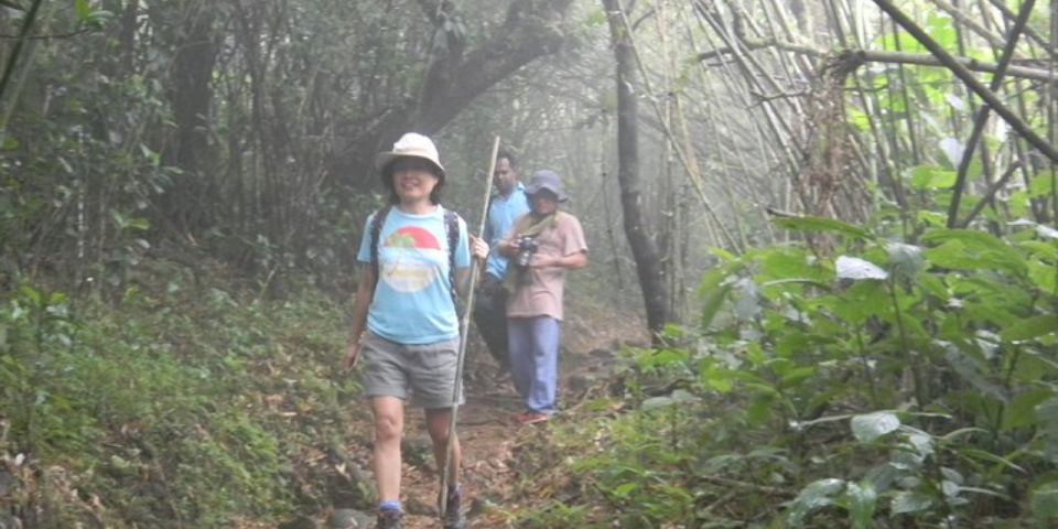 Knuckles Wilderness Waterfall Trek:Comprehensive Adventure - Wildlife and Nature