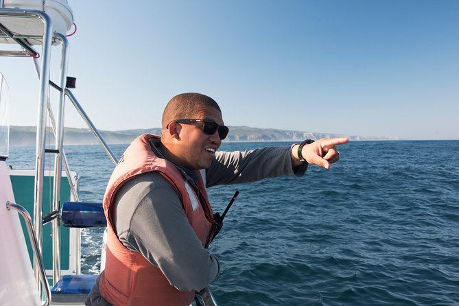 Knysna Marine Life & Garden Route Coastline Experience - Important Considerations