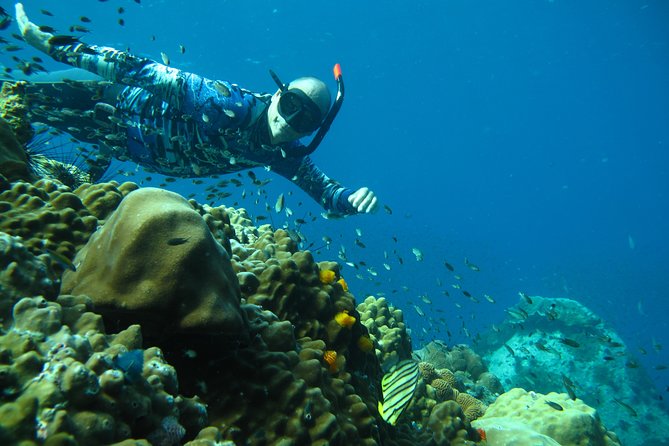 Koh Chang Freedive Trip ( Start at Koh Chang) - Booking Your Adventure