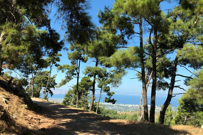 Kos Off-Road Adventure Tour - Customer Reviews and Feedback