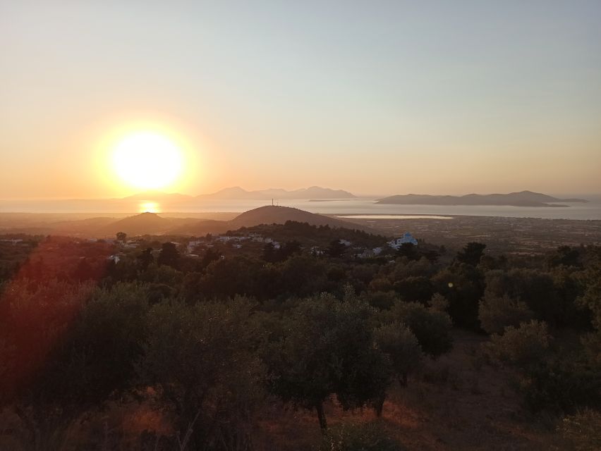 Kos: Roundtrip Bus Transfer to Mount Zia for Sunset Viewing - Participant Suitability