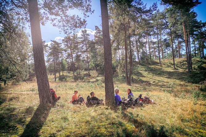 Kröller Müller Museum and Hoge Veluwe National Park Small Group Tour - Exploring Hoge Veluwe National Park