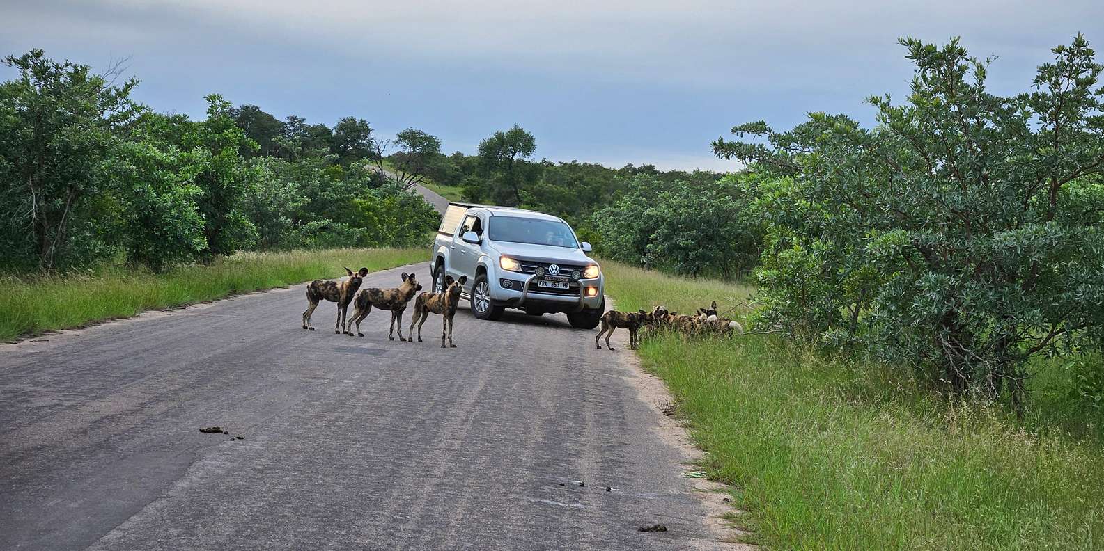 Kruger National Park: 3 Day Tour From Johannesburg/Pretoria - Accommodation and Amenities