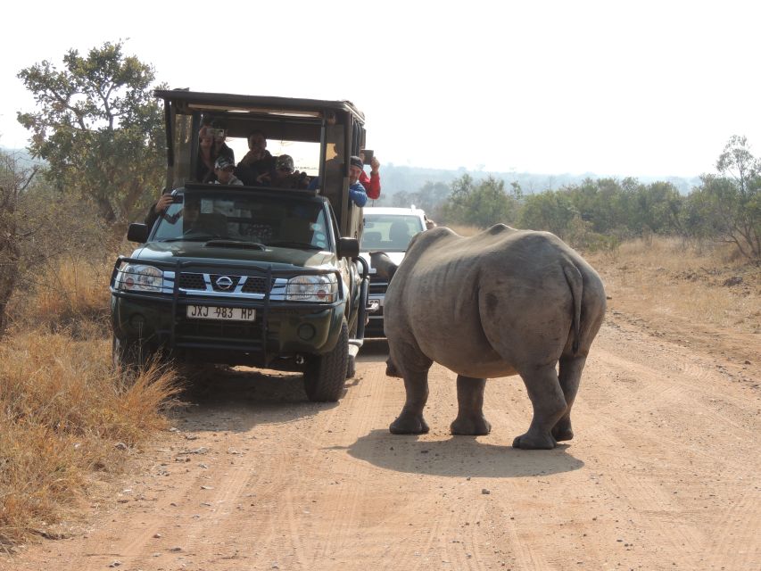 Kruger National Park: Full-Day Game Drive With Pickup - Viewing the Big 5