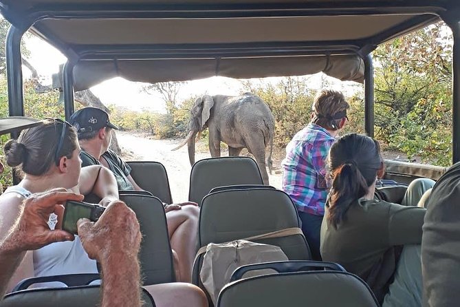 Kruger National Park Private Full-Day Safari - Private Safari Vehicle & Guide - Recommended Gear and Attire