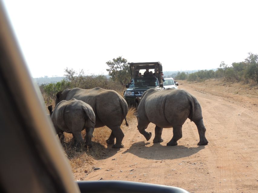 Kruger National Park: Wildlife-Watching Safari - Viewing the Big Five Animals