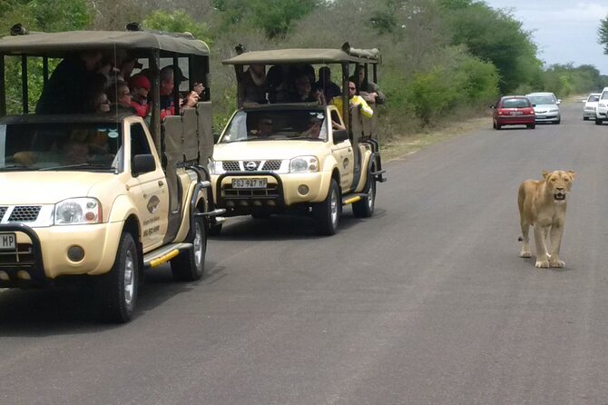 Kruger Park Safari Private Full-Day Tour From Marloth Park - Frequently Asked Questions
