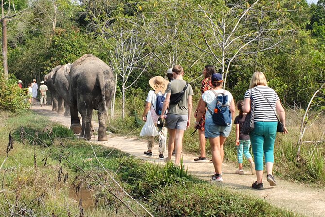 Kulen Elephant Forest by Private Tour - Cancellation Policy