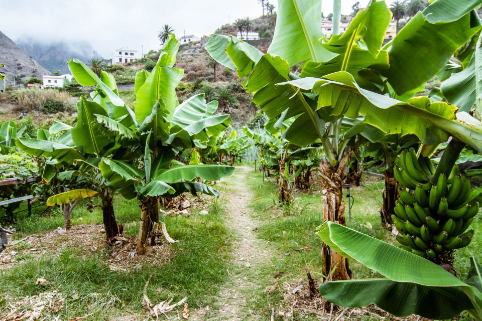 La Gomera: Entry Ticket for The Ethnographic Park - Visitor Information