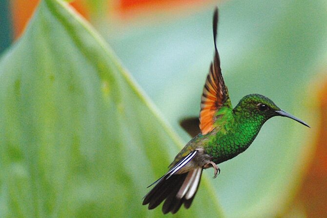 La Paz Waterfall Gardens Nature Park Full-Day Tour - Traveler Group Size