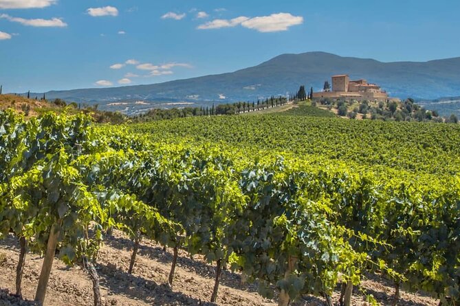 La Rioja: Wine Cellars and Laguardia Private Tour  - Pamplona - Support and Feedback