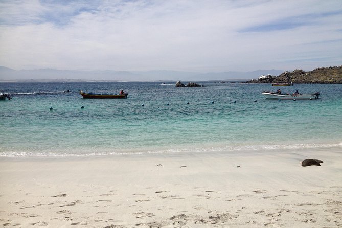 La Serena: Full Day to Damas Island & Humboldt Penguin National Reserve - Accessibility and Cancellation