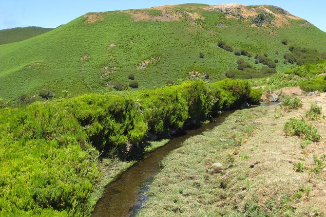 Lakes of Madeira- Alecrim Full Day Walk - The Sum Up