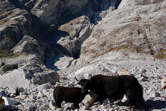 Langtang Valley Trek – 11 DAYS - Pricing Information