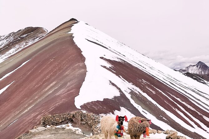 Last Minute Departure Rainbow Mountain Afternoon Tour - Expert Guide Expertise