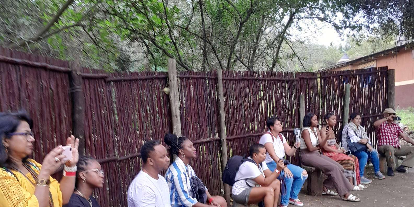 Lesedi Cultural Village and Lion Park Private Tour - Cultural Immersion