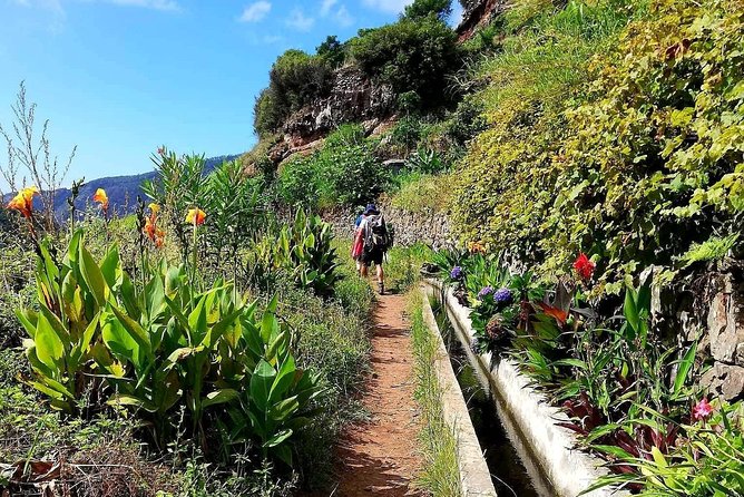 Levada Serra D'Agua - What to Expect