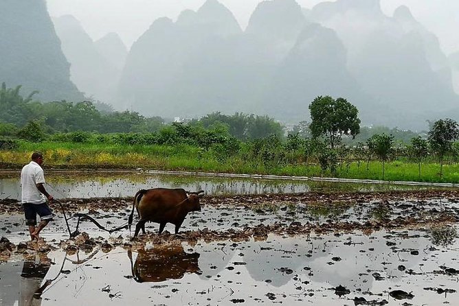 Li River Bamboo Boat Cruise & Yangshuo Village Private Day Tour - Meeting and Pickup Details