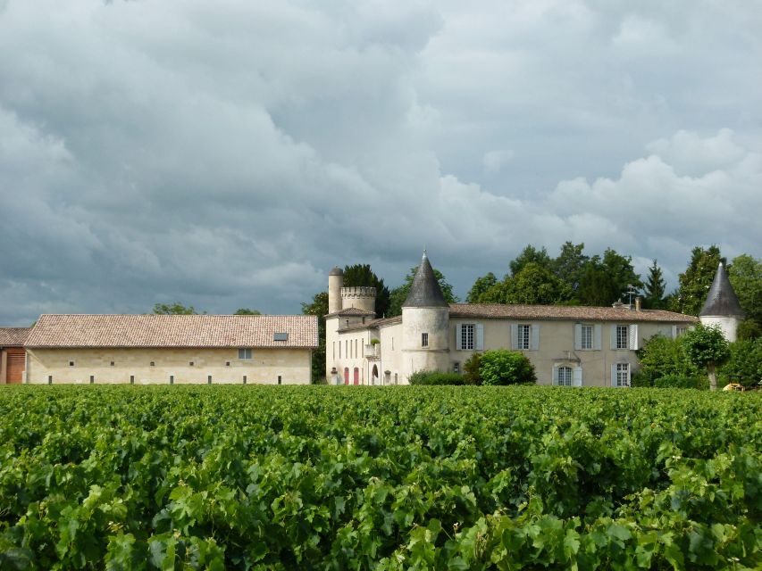 Libourne: Winery Tour With Wine and Chocolate Tasting - Sustainable Practices