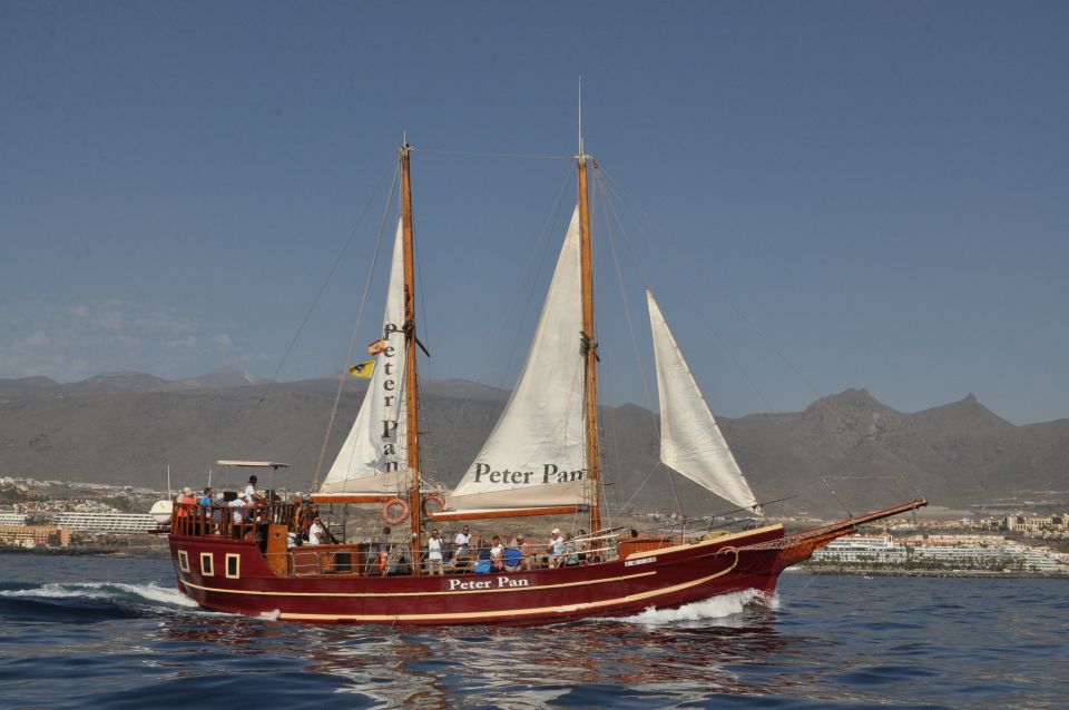 Los Cristianos: Whale-Watching Tour With Swimming Stop - Onboard Amenities