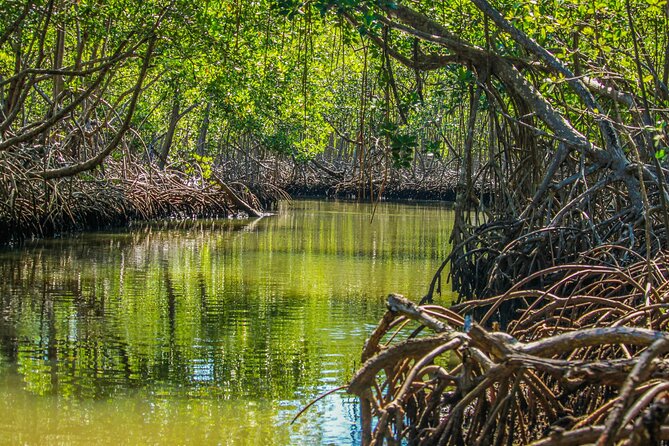 Los Haitises National Park - Visitor Feedback