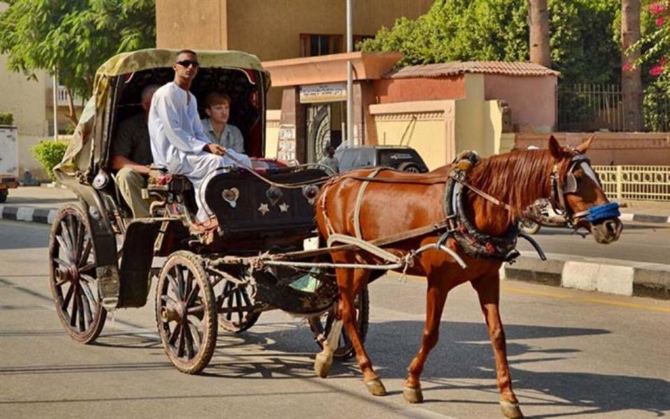 Luxor : Luxor City Tour By Horse Carriage Private Tour - Booking Process