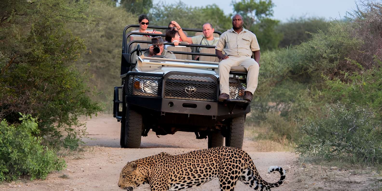 Luxury 5 Day Kruger Park All Inclusive Safari From Joburg! - Afternoon Safari Experiences