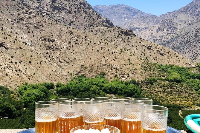 Luxury Private Day Trip - Atlas Mountains, Agafay Desert & Camels - Adventure Activities