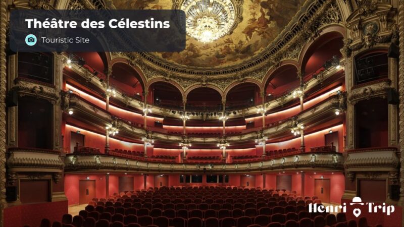 Lyon: Digital Guide - Usage and Flexibility