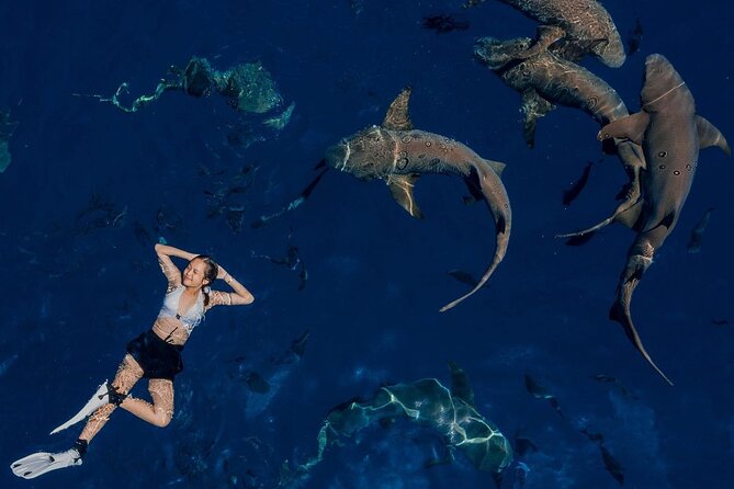 Maafushi: Ship Wreck & Nurse Shark Snorkeling With Dolphin Watching - Guest Experiences