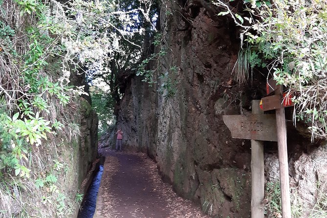 Madeira: Private 1.5-Kilometer Levada Dos Balcões Hike PR11 - Confirmation and Clothing