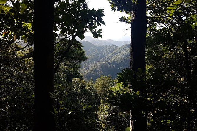 Madeira: Vereda Das Funduras Private Walking Tour PR5 - Pickup Information