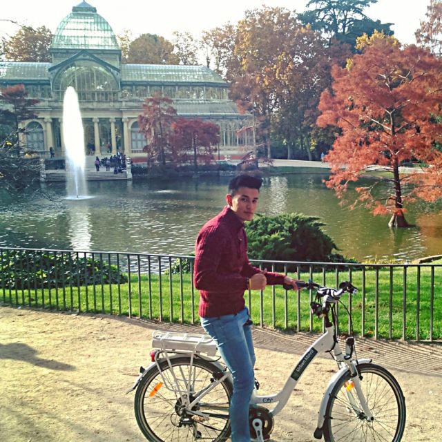 Madrid: Literary Quarter & Retiro Park Electric Bike Tour - Experiencing Madrids Art Triangle