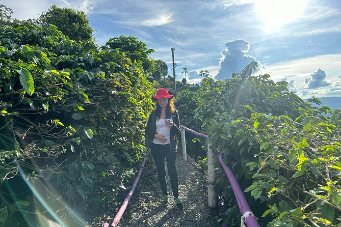 Magical Views of the Coffee Region - Cittaslow Three Towns - Additional Tour Information