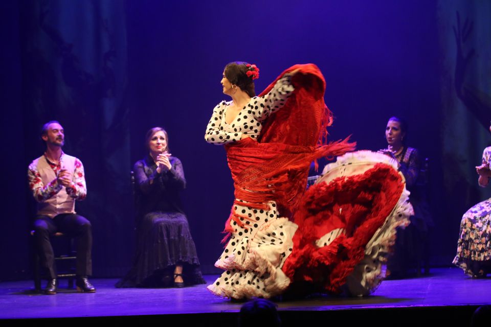 Malaga: Teatro Flamenco Malaga Live Flamenco Show - Accessibility and Languages