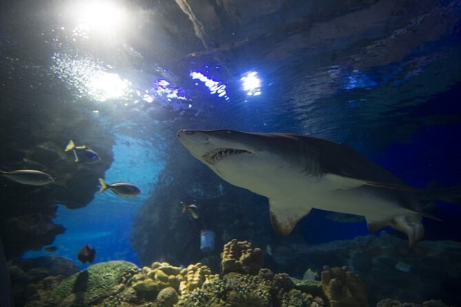Malaysia: Aquaria KLCC Entry Ticket - Additional Visitor Tips