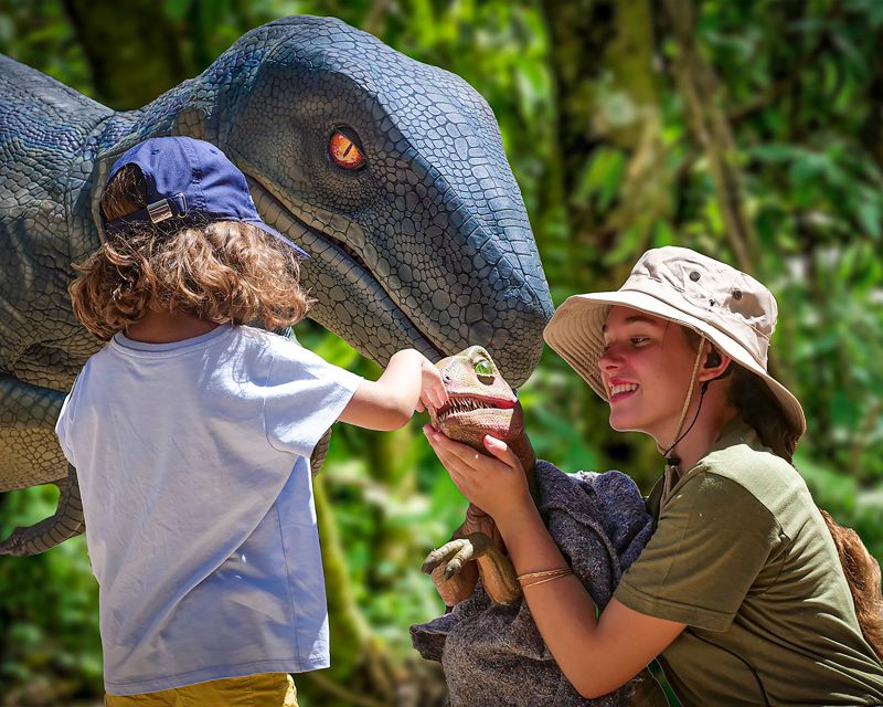 Mallorca: Dinosaurland and Caves of Hams Combined Ticket - Visitor Experience at Caves