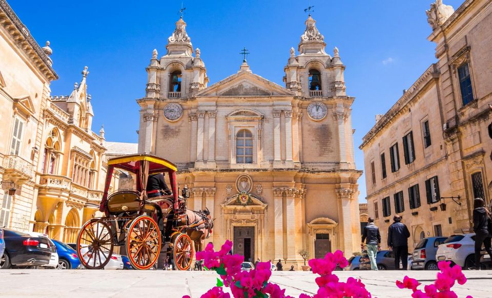 Malta: Mdina, Dingli Cliffs and San Anton Botanical Gardens - Discovering San Anton Botanical Gardens