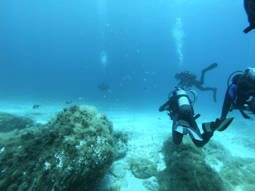 Malta: St. Pauls Bay 1 Day Scuba Diving Course - Restrictions and Health Considerations