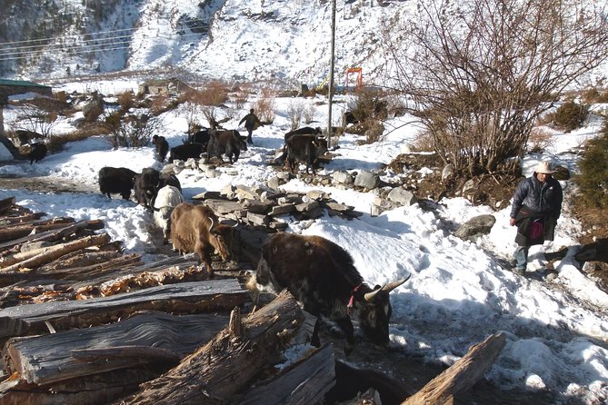 Manaslu Circuit Trek 17 Nights 18 Days - Transportation Details
