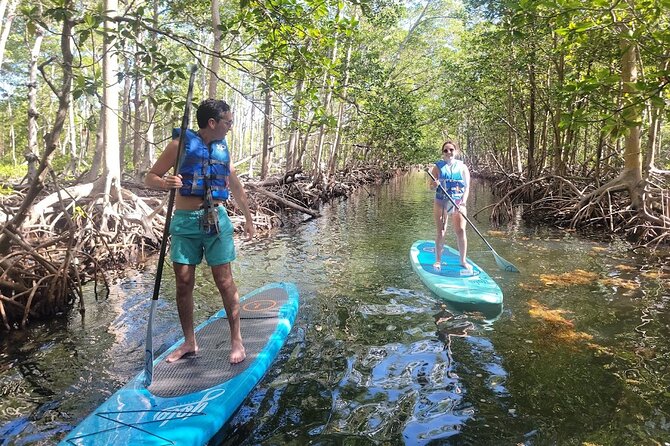 Mangrove Jungle Exploration on SUP/Kayak - Refreshments and Amenities Included