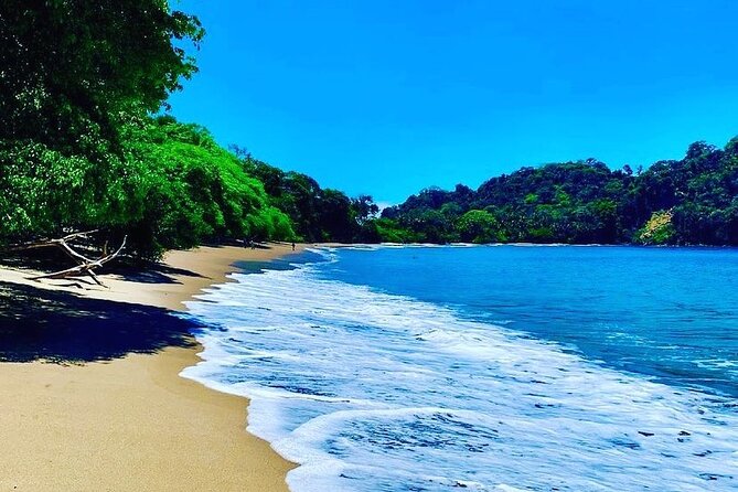 Manuel Antonio National Park - Tour Managements Response