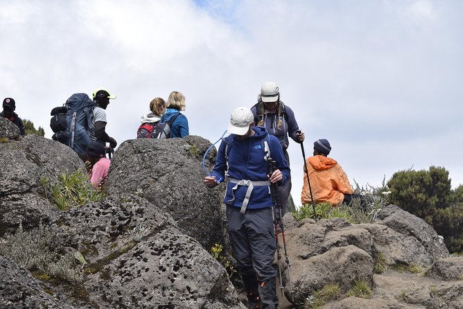 Marangu Route 6 Days 5 Nights/Kilimanjaro Climb - Booking and Cancellation Policy