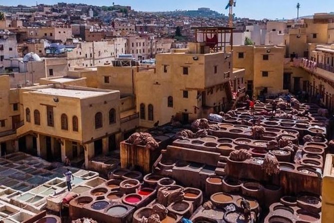 Marrakech Medina Walking Tour With Official Local Guide - Accessibility Features
